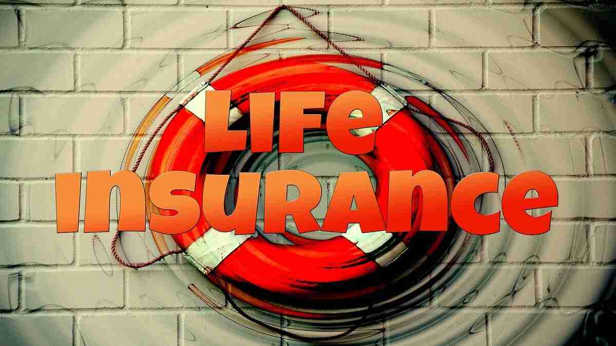 Life Insurance vs Term Insurance Key Differences